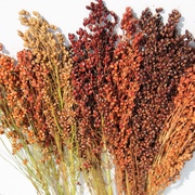 Kategoriename Kategoriename